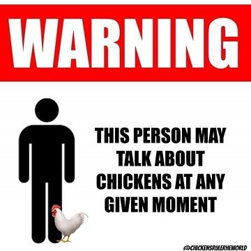Warning this person may talk about chickens at any given moment.
